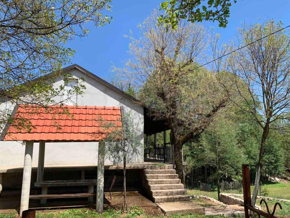 Apartmán Bandici House Podgorica Exteriér fotografie